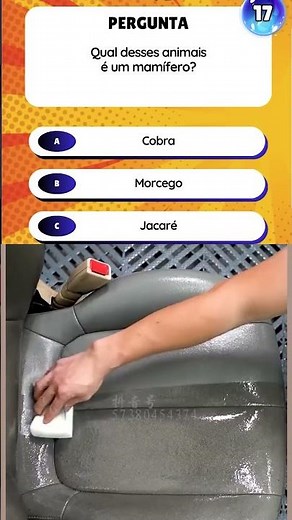 Fun Educational Quiz! - School Reinforcement Questions for Children and Teenagers
