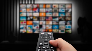 Free : 40 chaînes du bouquet Famille by Canal offertes aux abonnés Freebox, voici comment en profiter