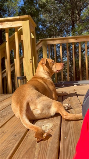 Breaktime with Leo. 🫶🏾❤️☀️ | Nicole M Harris