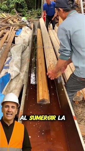 How to prevent wood from rotting or being eaten by insects #viral #hacks