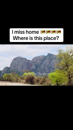 Baxter The Traveler: A Journey Back Home to Zimbabwe