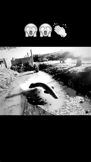 Cold on Instagram: "🎥 Young Sheldon (2017 Sitcom) 🔗 Genre: Sitcom ⏰ Seasons: 7 📅 Premiere Date: September 25, 2017 (USA) 🎬 Created by: Chuck Lorre and Steven Molaro 🗣 Language: English 📦 Distributed by: Warner Bros. Television Distribution 💰 Awards: Primetime Emmy Awards - Nominations for Outstanding Cinematography 📸 Cinematography by: Fred Murphy and Buzz Feitshans IV 🔍 Synopsis: Meet Sheldon Cooper—an intellectually gifted 9-year-old navigating high school in East Texas. As he struggl