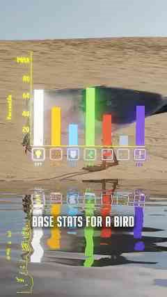 What makes seagulls so aggressive, adaptable, and hard to beat