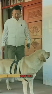 1.8M views · 89K reactions | Asong Taga Sundo ng Estudyante! | BrodNadz | Facebook