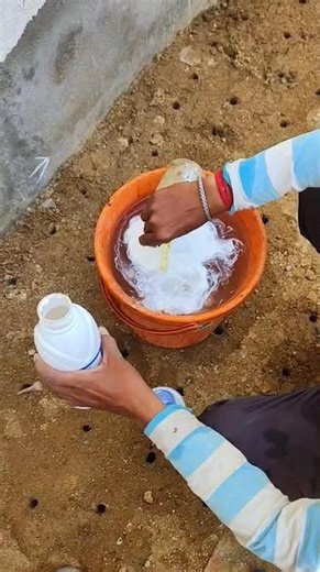 "Antitermite Chemical Dilution in Water | Step by Step Guide"