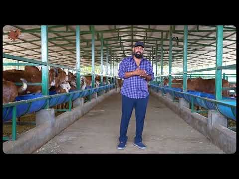 Precision Breeding & Parental Testing Explained | ft. Amith Kishan | Hebbevu Genetics