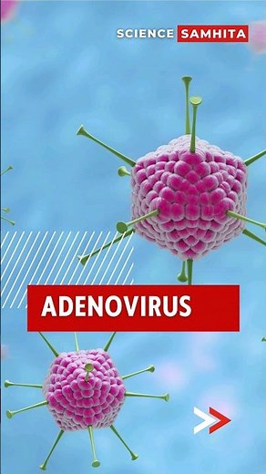 Demystifying Adenoviruses: Exploring the Tiny Invaders #adenovirus