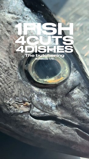 Gil on Instagram: "1 FISH, 4 DISHES 🤍 So happy I finally had the time and conditions to make this mini series. It’s a projet I have in mind since a while, but didn’t get the opportunity to do it so far. Prepping an animal from head to tail is the beautiness I love in kitchen, receiving the whole product, and respecting if through your cuts, and kitchen. I got into fish butchering very early in my cooking experience, seing the craziness of the work of chef @mrniland, and others like @valraffali