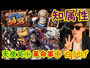 [トレクル] ガープからの挑戦の知属性縛りを知黒ひげで! [天夜叉①/革命軍①/白ひげ][OPTC]