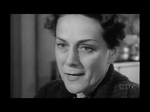 Highway Patrol S01E28 Mental Patient