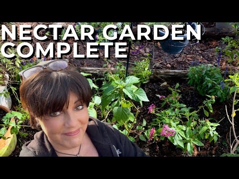 Finishing My Butterfly Garden Redesign & Planting Nectar-Rich Flowering Perennials