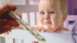 Fevers can be scary—and sudden. But don’t fear: Parentalogic hosts Dr. Alok Patel and Bethany Van Delft, with the help of Mia the Doll, are here to illustrate how best to check your child’s temperature and explain what can be done to calm down you and your little one. | NOVA l PBS
