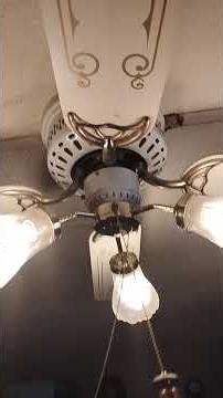 comparison between the two SMC huggers and box collection