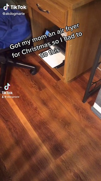 You Clearly Don't Own an Air Fryer Memes Explained