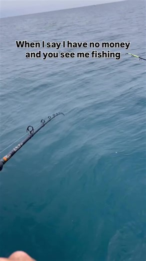 The Science of Fishing (@scienceoffishing)’s videos with original sound - The Science of Fishing