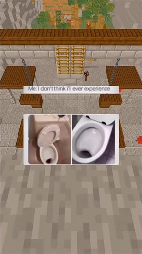 The Dutch Toilet 🥀