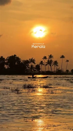 Backwaters of Kerala #travel #shortsvideo #kerala
