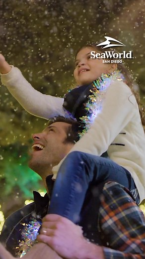 One million lights meet ocean delights at SeaWorld San Diego’s Christmas Celebration! | SeaWorld San Diego | Facebook