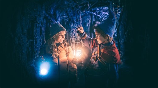 Stream The Elf (2025): Find it on Netflix, Prime Video, Hulu & more