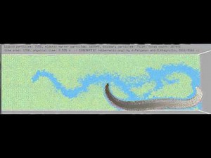 Sibernetic: Simulation of C. elegans crawling