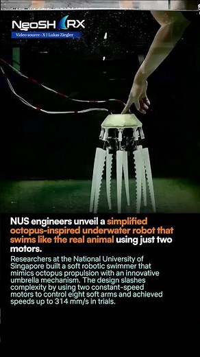 National University of Singapore built a soft robotic swimmer that mimics octopus propulsion