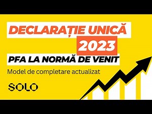 Model completare Declarație Unică 2023 pentru PFA la Normă de Venit