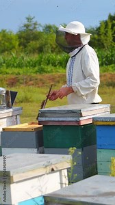 Beekeeper is working with bees and beehives on the apiary. Beekeeper on apiary. Vertical video