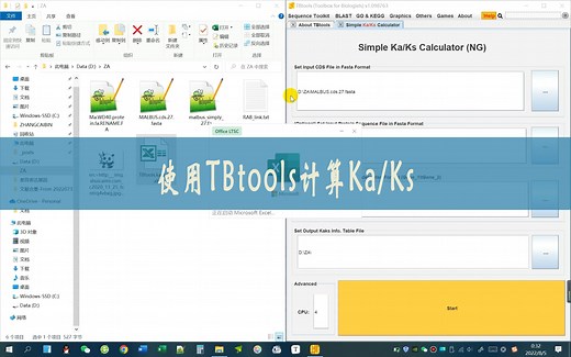 使用TBtools计算Ka/Ks