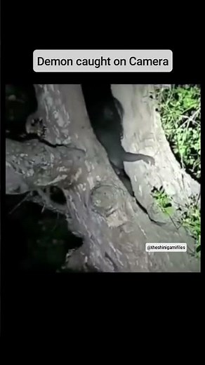 This video shows a dark, unsettling scene where a creature is recorded deep in the woods at night.