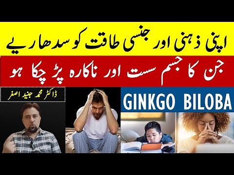 Ginkgo Biloba - Memory - [Mood] - Power