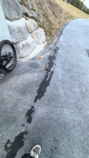 Experience Downhill Thrills on the Santa Cruz V10