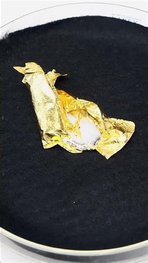 Dissolving Gold in Mercury #shorts #gold #goldmining