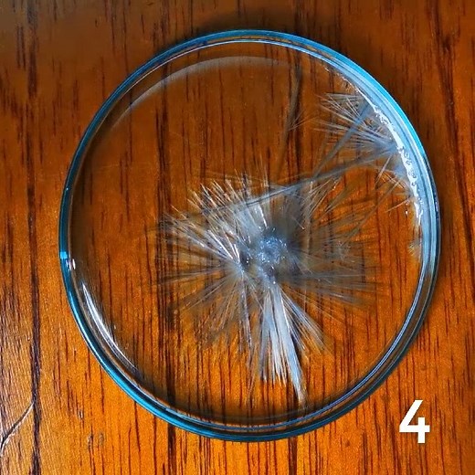 Experimentos de Química para Feria de Ciencias