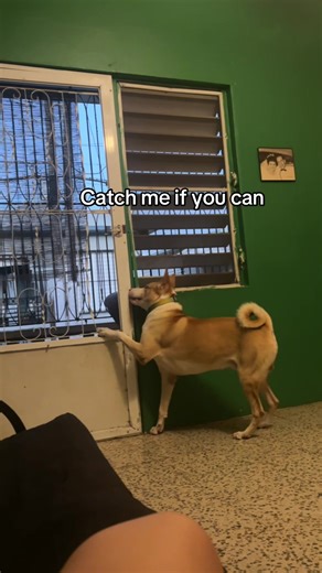 Ocean’s on a mission 😅🤣 | Ocean Videos