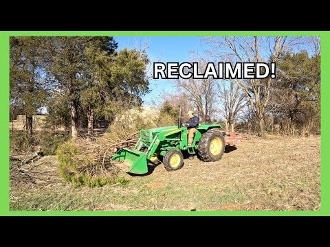 I Should Have Done This Years Ago! Fence Row Cleanup