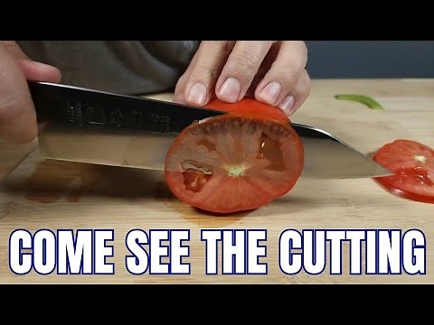 2024 BEST BUDGET KIRITSUKE CHEF KNIFE UNDER $70 KANNGOU FULL KNIFE REVIEW