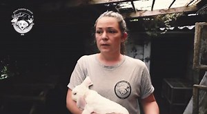 Nous aider, c’est les aider. | Action Protection Animale