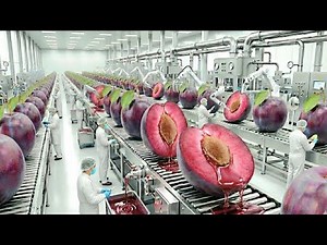 Inside a Giant Prune Processing Factory: From Orchard to Supermarket (Full Process)