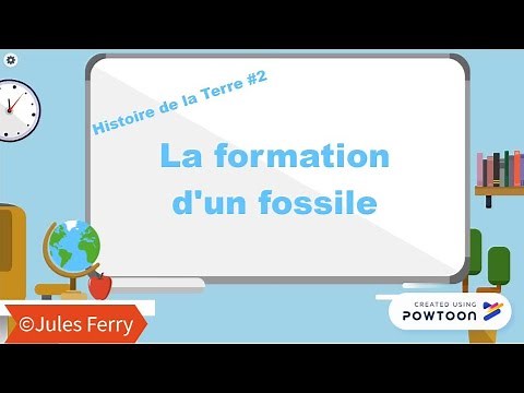 Histoire de la Terre #2 La formation des fossiles