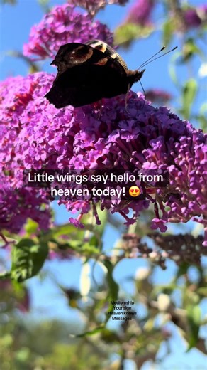 Marie / The Mum Medium on TikTok