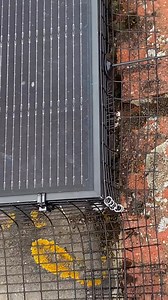 SOLAR PANEL PIGEON PROOFING SERVICES !(Pest management services with over 670 5⭐️⭐️⭐️⭐️⭐️ Reviews on Google/Facebook✅!)🐦🐦🐦🐦🐦🐦🐦🐦🐦🐦🐦🐦🐦🐦🐦🐦🐦 FED UP WITH FERAL PIGEONS CONSTANTLY COOING UNDERNEATH YOUR SOLAR PANELS ?? @ M-J-R Pest Control we ONLY install SPECIALLY DESIGNED SOLAR PANEL PROOFING KITS ✅✅ We are PROFESSIONALLY QUALIFIED in all aspects in installation urban bird control systems ✅✅ and authorised under the General license to carry out our duties in removing the targeted bi