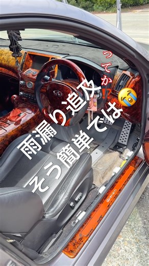雨漏り追及そうそう簡単にはいかぬ😮‍💨#雨漏り #ckv36 #v36 #フロアマット #ウェザーストリップ