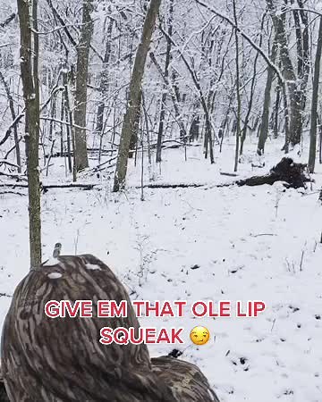 Turkey hunt turned coyote hunt real quick like #predator #coyote #hunting #iowa #wildturkey #snow