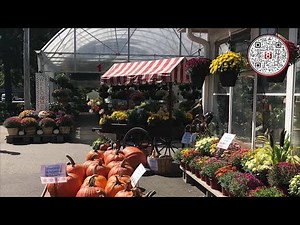 8 Things To do This Weekend: Fall Arts Festival, Pumpkintown U.S.A. and CT Lit Fest