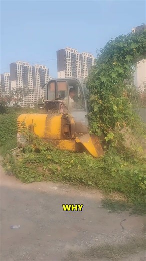 20K views · 17 reactions | Watch This Machine Create a Green Paradise!. #GardenMagic #YardTransformation #GreeneryGalore #DIYGarden | हिंदुस्तानी है हम | Facebook