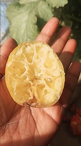 a p k Naam wale vyakti sawadhan ho jaiye.