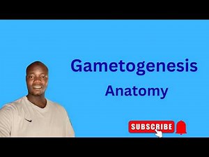 Gametogenesis