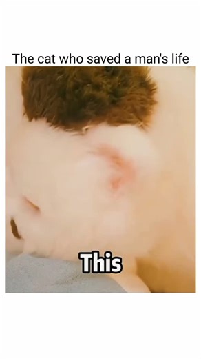 The Clips' Clan 🧿 | Your daily dose of entertainment is here! Follow @the.clips.clan for short clips, funniest memes, viral reels and trending humour!... | Instagram