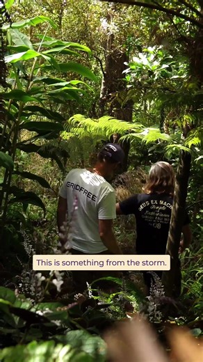Transforming Untouched Bush into an Off-Grid Paradise
