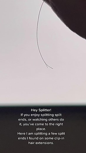 Welcome to the Split-Ends world, where you’re not alone! Yes, it’s not good for your hair but so is dyeing it 🤷🏻‍♀️ Turns out, there are more people out there, who have an enjoyment doing this, than you would’ve ever thought! Share your favorite split end videos with me! #splittinghairs #splittingsplitends #splittingsplits